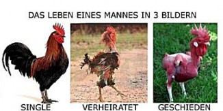 Ehescheidung - Wie kann ein Scheidungsanwalt helfen?